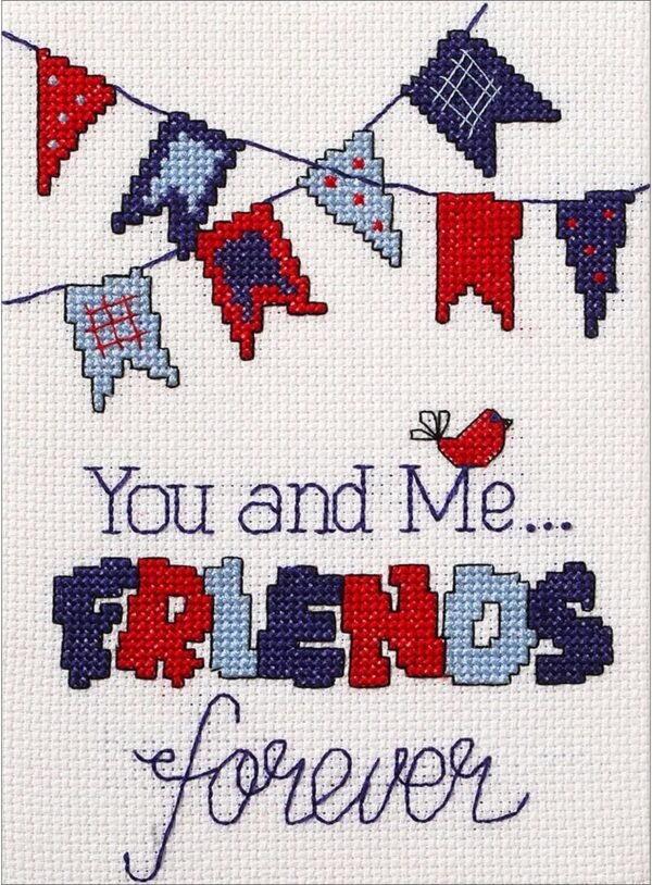 Bucilla Friends Forever Counted Cross Stitch Kit 46269 - main product photo