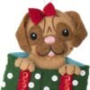 Bucilla Christmas Dogs | Felt Applique Ornament Kit | 89283E