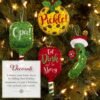 Bucilla Merry Pickleball | Felt Applique Ornament Kit | 89711E