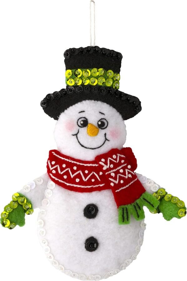 Bucilla Snow Much Fun | Felt Applique Ornament Kit | 89492E
