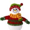 Bucilla Snow Much Fun | Felt Applique Ornament Kit | 89492E