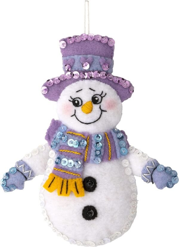 Bucilla Snow Much Fun | Felt Applique Ornament Kit | 89492E