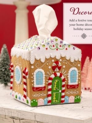 Bucilla Gingerbread Cottage | Felt Applique Tissue Box Cover Kit | 89781E
