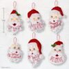 Bucilla Holiday Greetings | Felt Applique Ornament Kit | 89663E product image